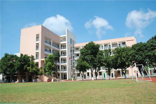 国家级荣誉 广西这些学校被教育部点名表扬,快来打call