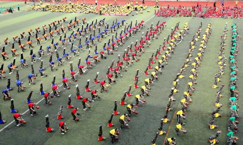 要闻 泰州市 教育迎省运 系列活动开启