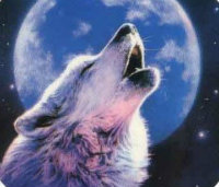 启悟中学2011级初一4班 - 班级圈圈 - 成员 - 文明小博客 - 厦门网