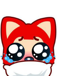 启悟中学2011级初一1班 - 班级圈圈 - 成员 - 文明小博客 - 厦门网