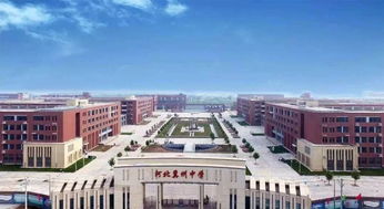 衡水中学再创佳绩 2019年河北高考文理状元皆出自衡水中学，衡水教育实力一览