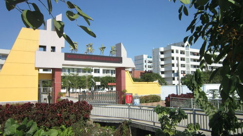 教育之光 漳州市龙文区朝阳中学与厦门市启悟中学的办学特色探析