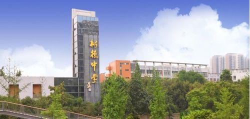 新希望 锦粼湖院丨家门口的名校 树德中学官宣厦门市启悟中学